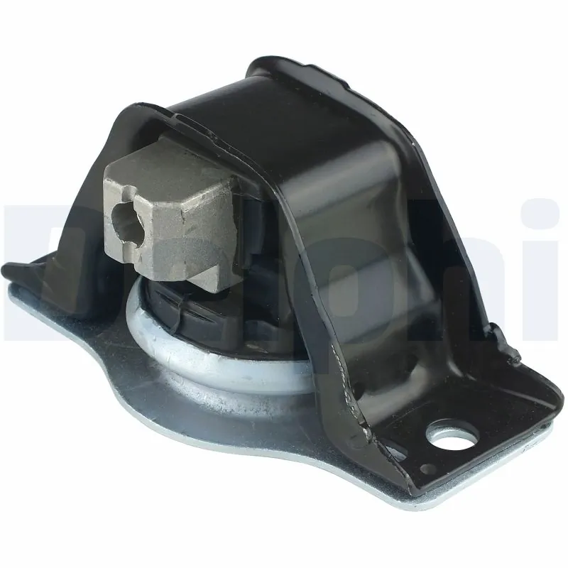 DELPHI TEM044