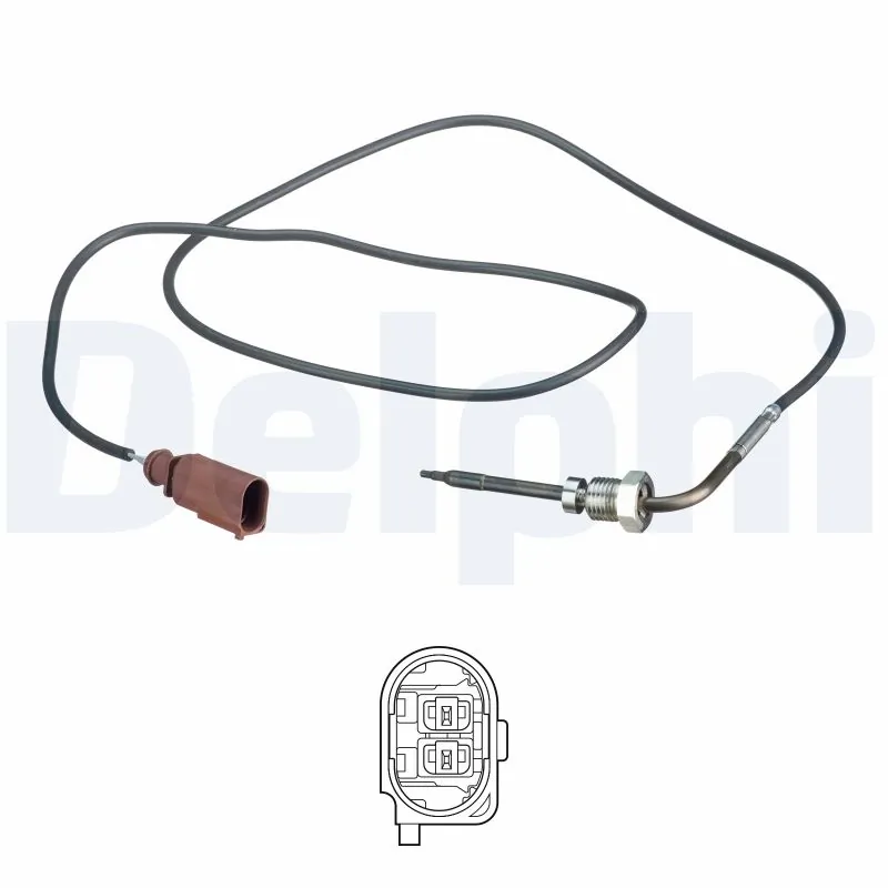 DELPHI TS30169