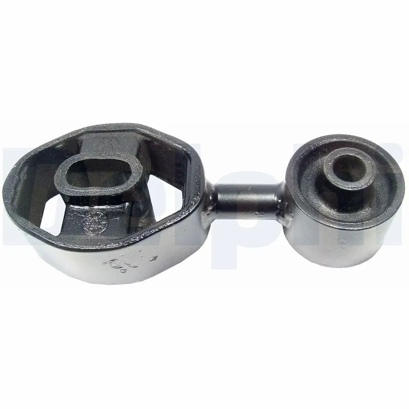 DELPHI TEM001