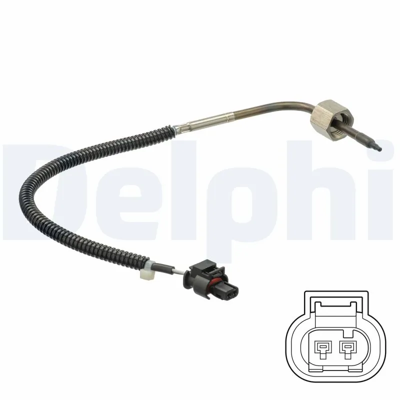 DELPHI TS30203