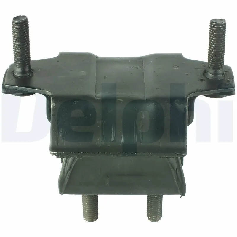 DELPHI TEM022