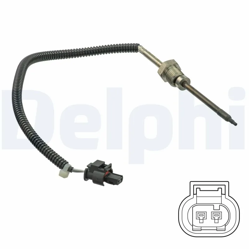 DELPHI TS30217