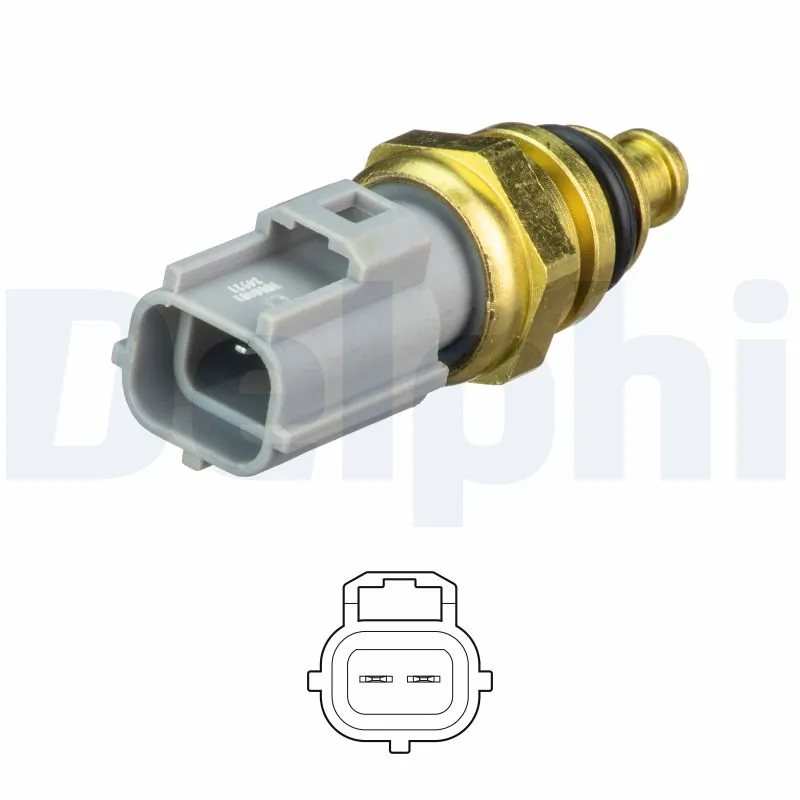 DELPHI TS10481