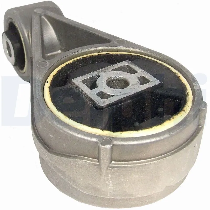 DELPHI TEM005