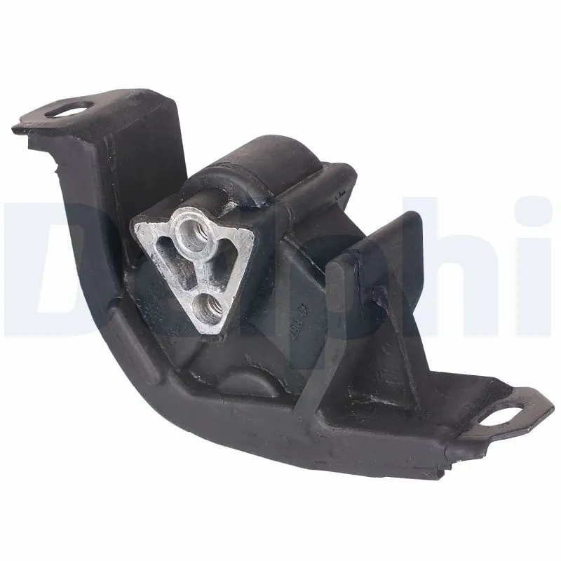 DELPHI TEM060
