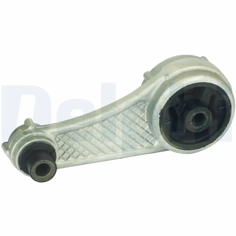 DELPHI TEM013
