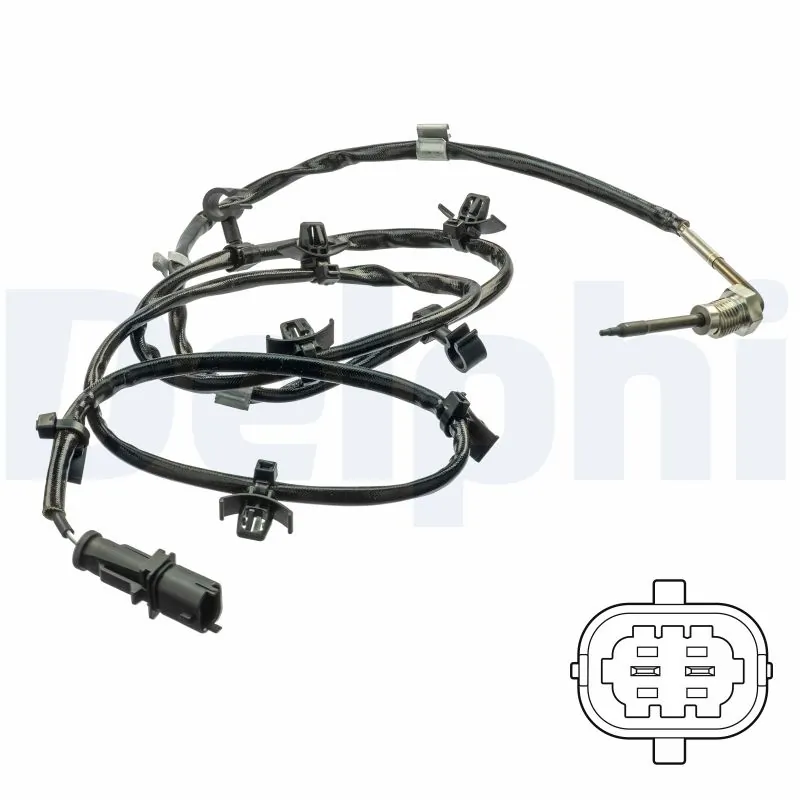 DELPHI TS30244