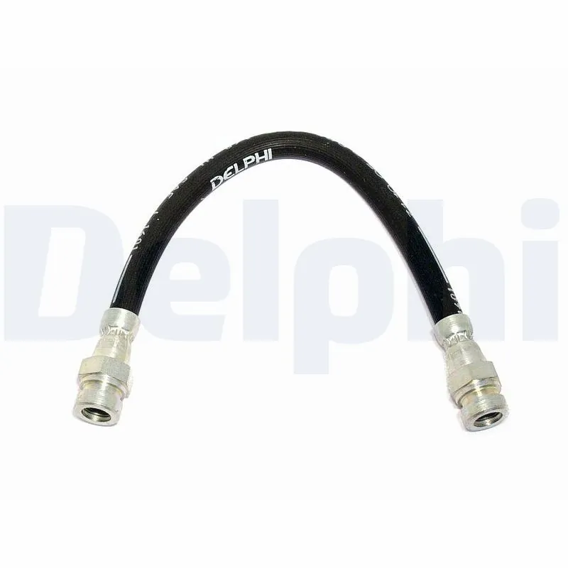 DELPHI LH0319