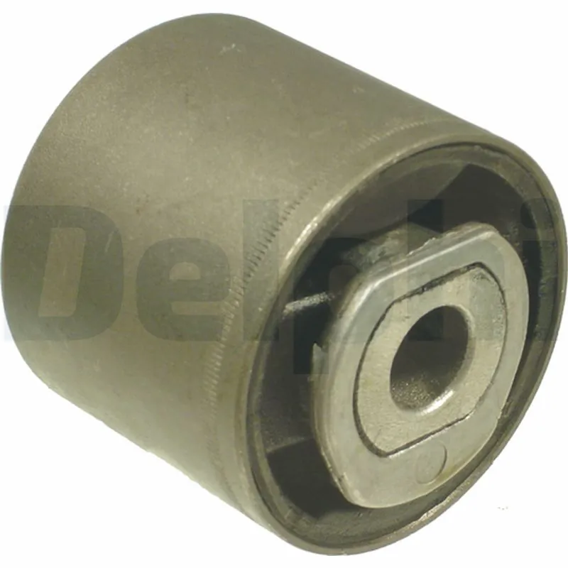 DELPHI TD310W