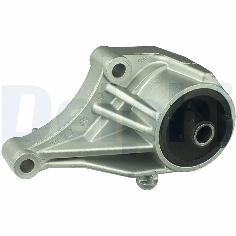 DELPHI TEM031