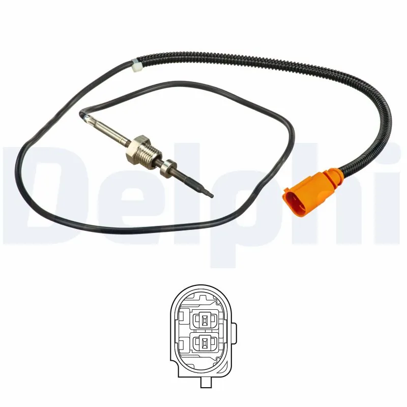 DELPHI TS30166