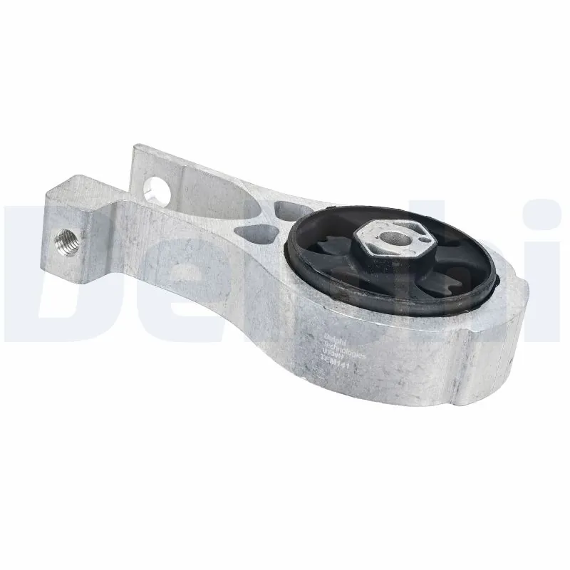 DELPHI TEM141