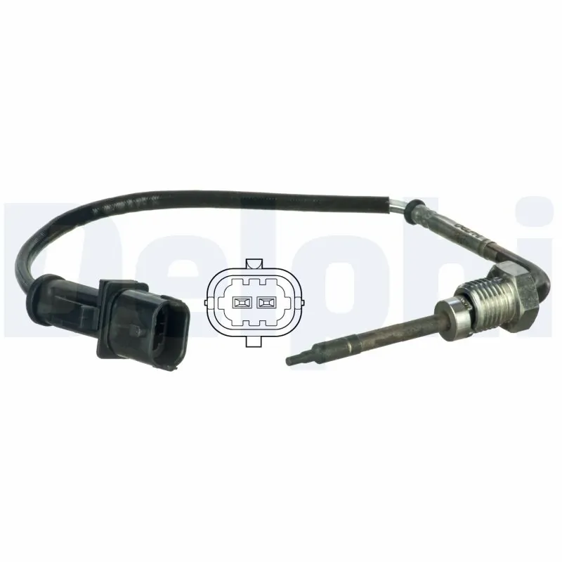 DELPHI TS30011