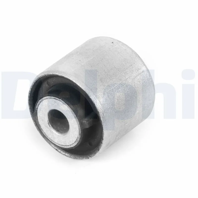 DELPHI TD2080W