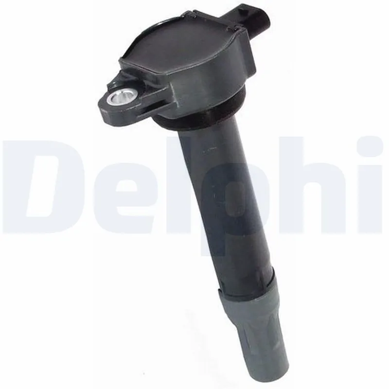 DELPHI GN1031012B1