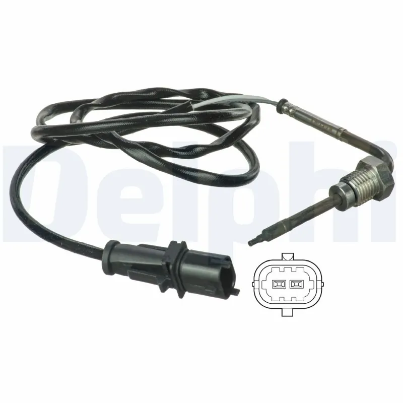 DELPHI TS30025