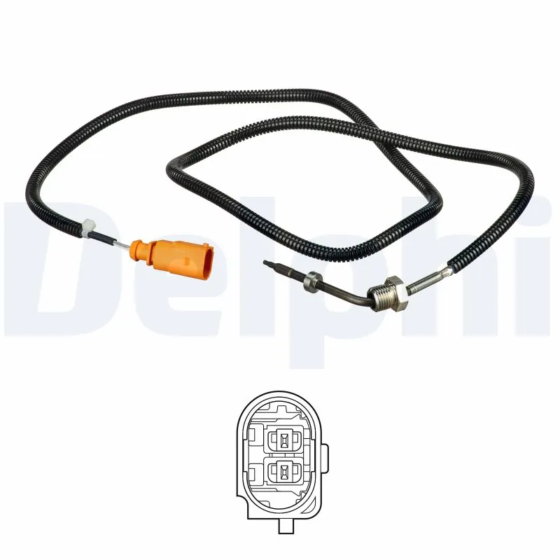 DELPHI TS30264