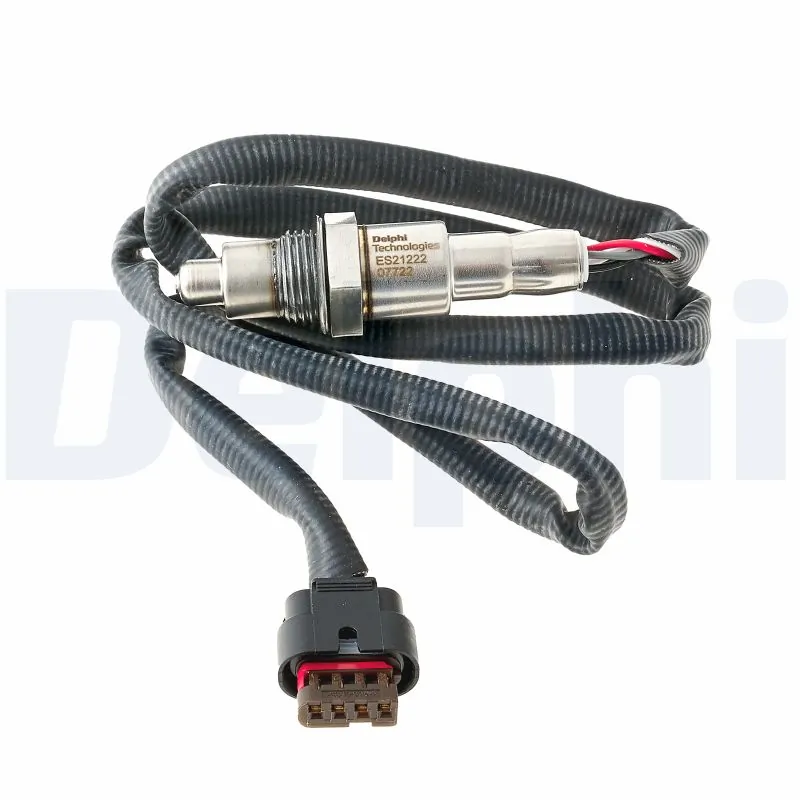 DELPHI ES2122212B1