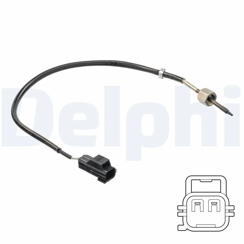 DELPHI TS30189