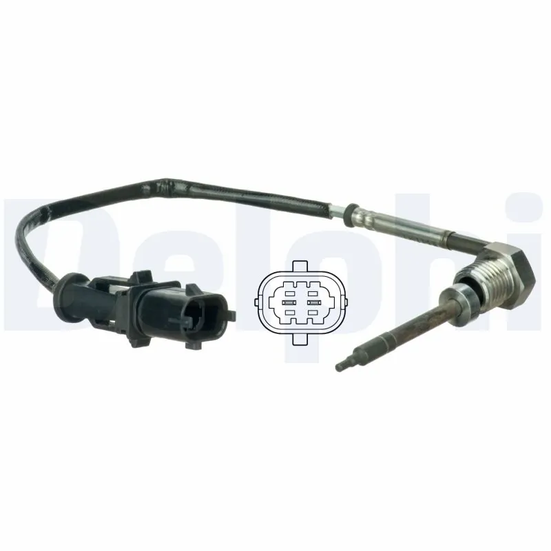 DELPHI TS30066