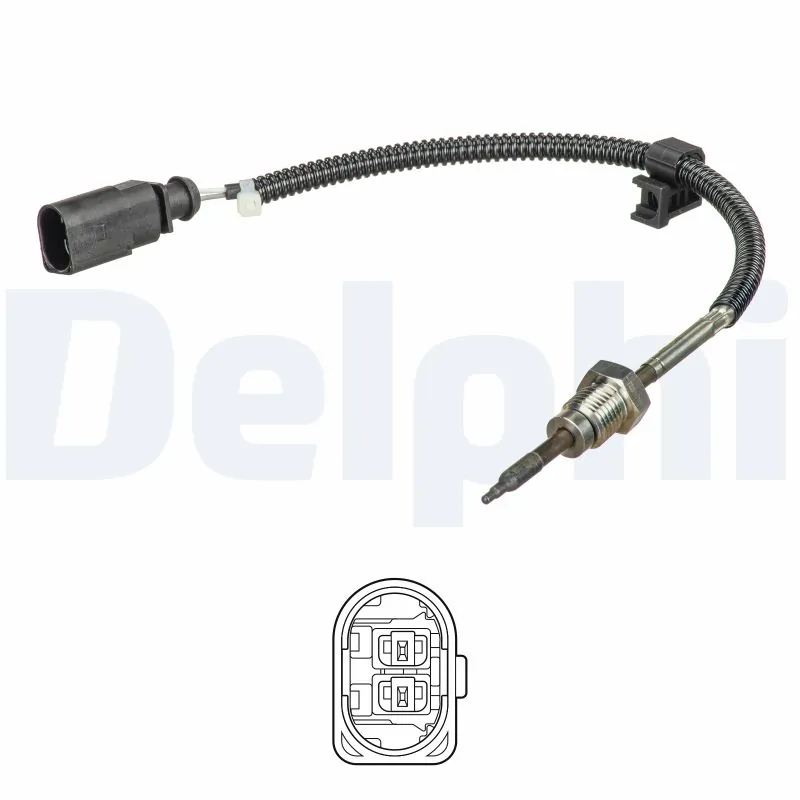 DELPHI TS30258