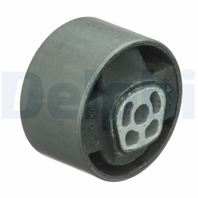 DELPHI TEM089