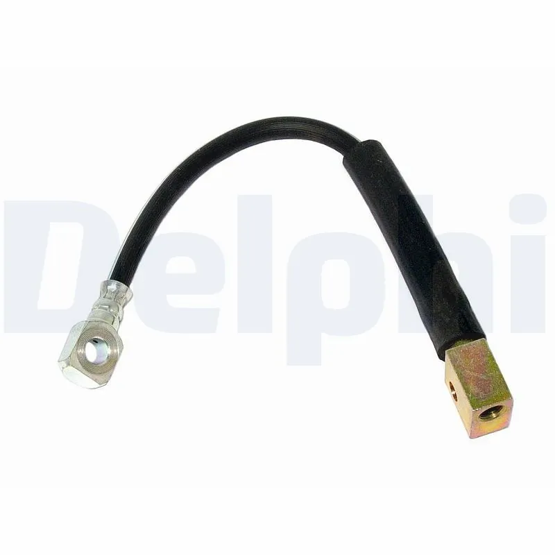 DELPHI LH2810