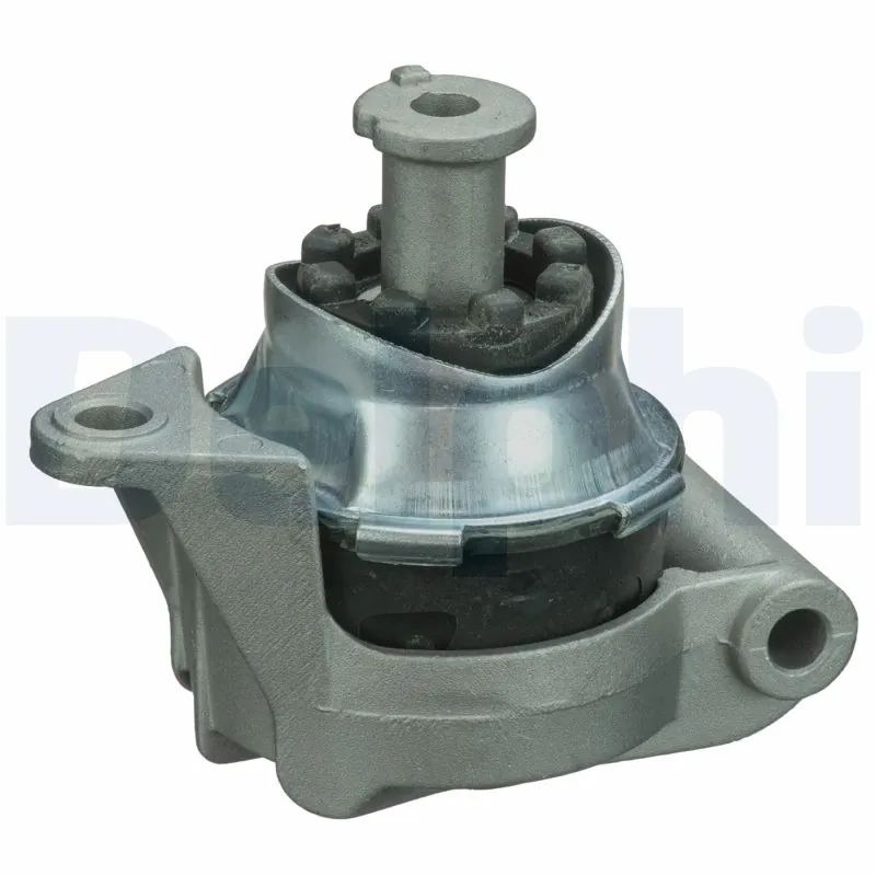 DELPHI TEM090
