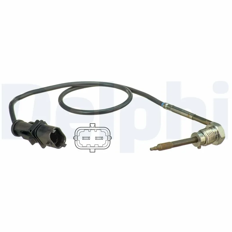 DELPHI TS30110