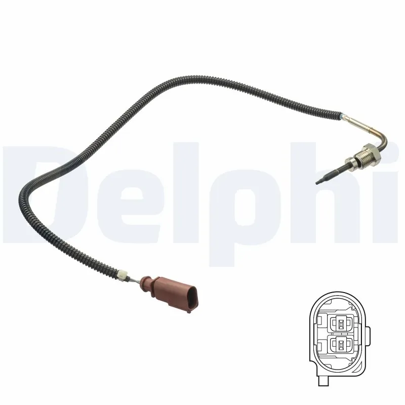DELPHI TS30173