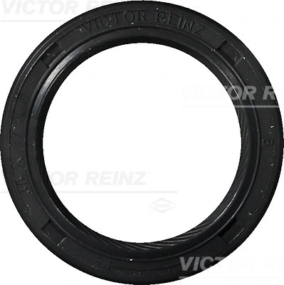 Victor Reinz 812558210