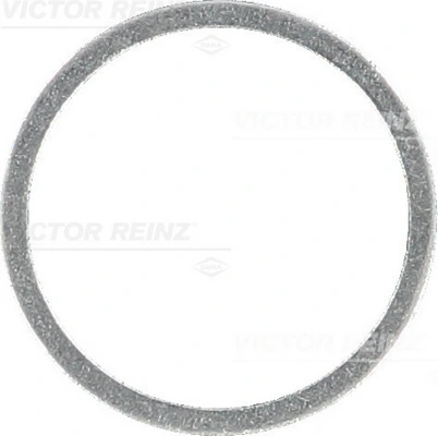 Victor Reinz 407107800