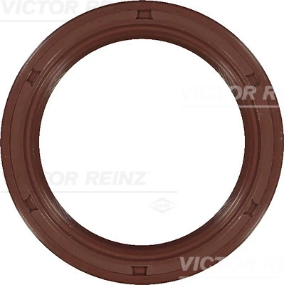 Victor Reinz 813363200