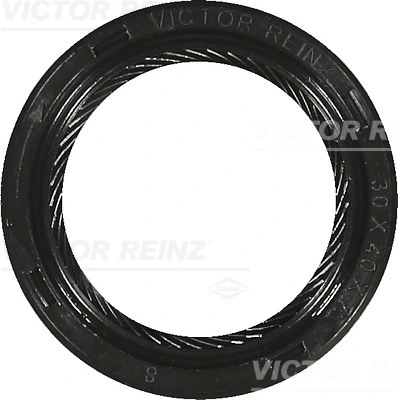 Victor Reinz 811551250
