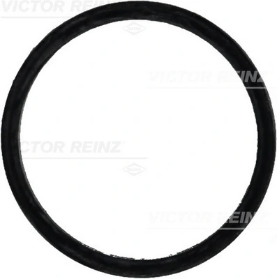 Victor Reinz 713164700