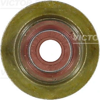 VICTOR REINZ 703524100