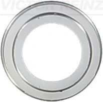 Victor Reinz 702306200