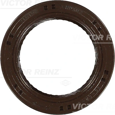 Victor Reinz 815324600