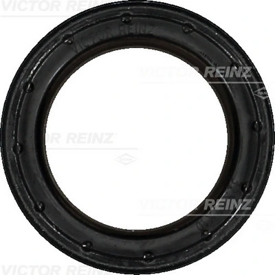 Victor Reinz 814053800