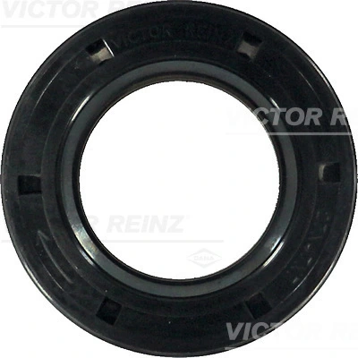 Victor Reinz 813555200