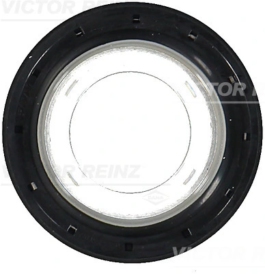 Victor Reinz 811055200