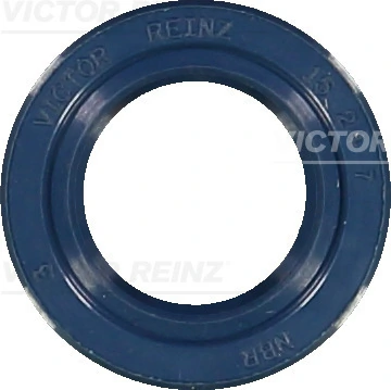 Victor Reinz 811529310
