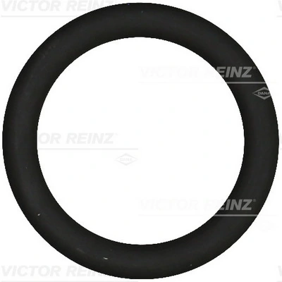 Victor Reinz 407691900
