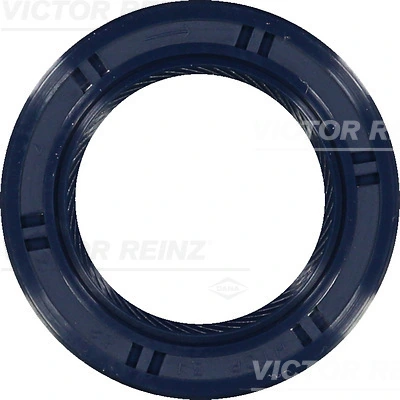 Victor Reinz 815349100