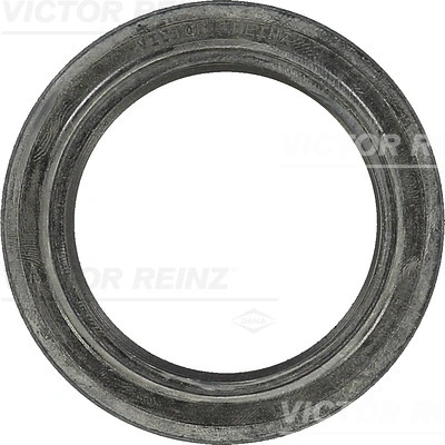 Victor Reinz 813589600