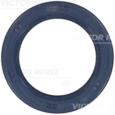 Victor Reinz 815324300