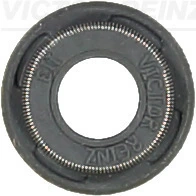 Victor Reinz 705398900