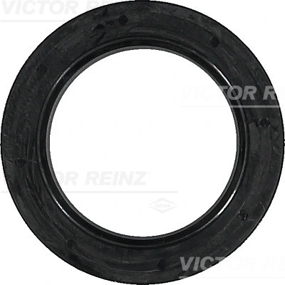 Victor Reinz 813655700
