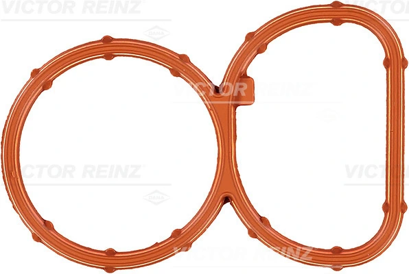 Victor Reinz 713937800