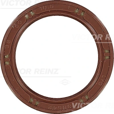 Victor Reinz 815357200
